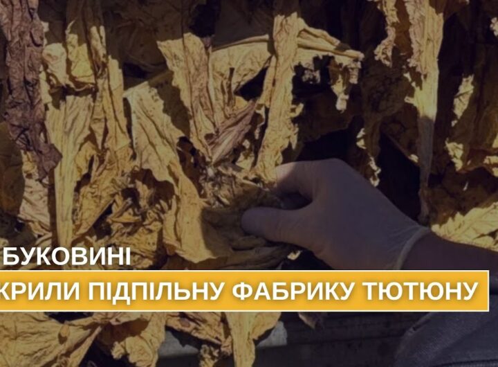 На Буковині викрито та припинено підпільне виробництво тютюну, який реалізовували по всій країні
