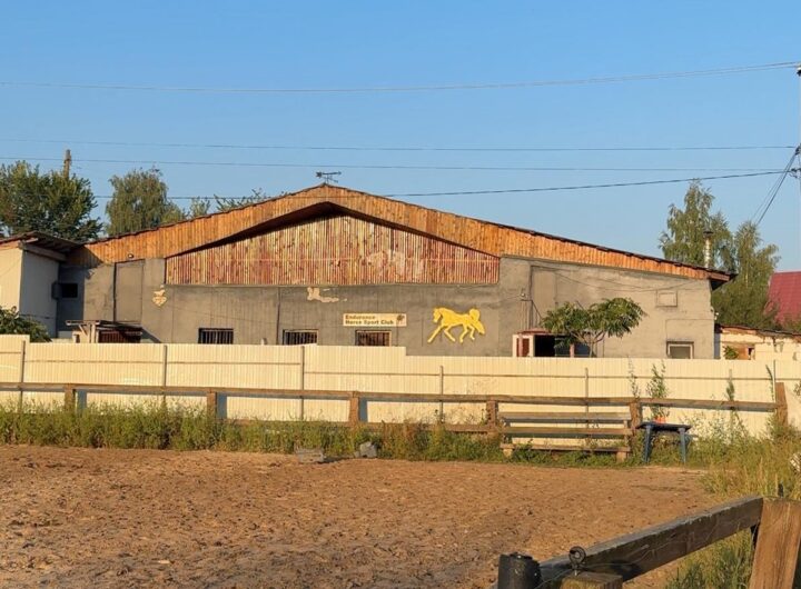 Новини України - Росіяни вдарили по кінному клубу на Київщині