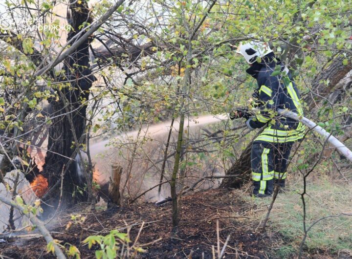Новини України - Рятувальники другу добу гасять пожежу на Хортиці