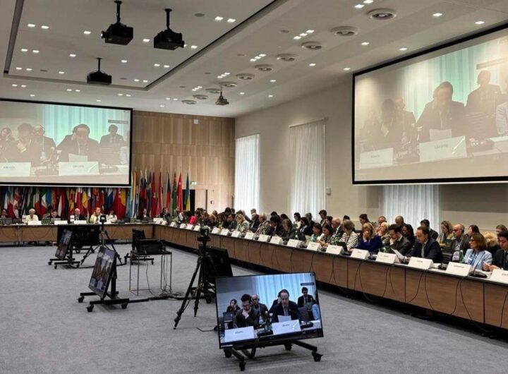 Новини України - Сибіга оголосив результати екстреного засідання ОБСЄ