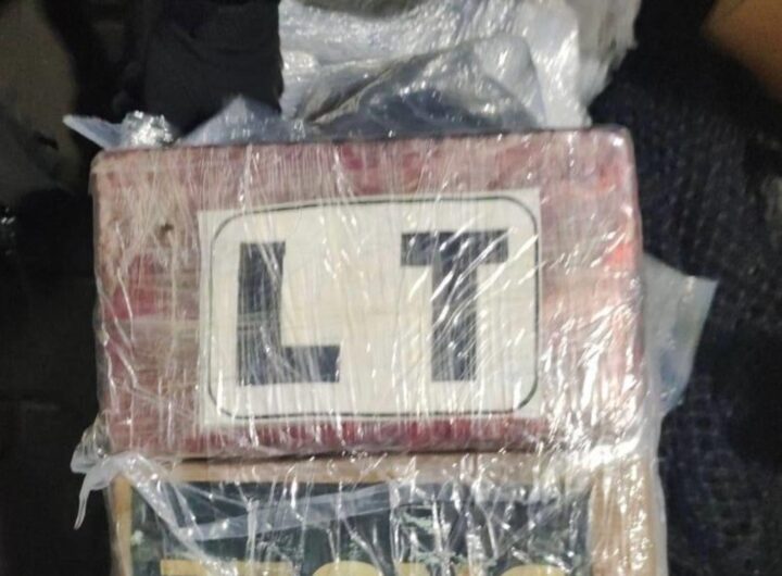 Новини світу - У Петербурзі знайшли 1,5 тонни кокаїну на кораблі з бананами