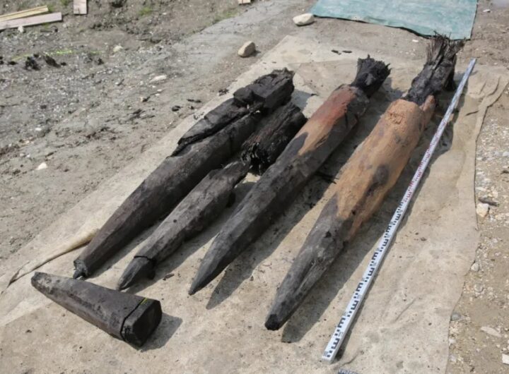 Технології - У Швейцарії знайшли 2000-річний дерев’яний римський міст