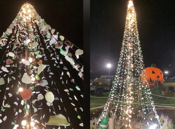 Новини світу - Американець створив 4,5-метрову ялинку з морського скла