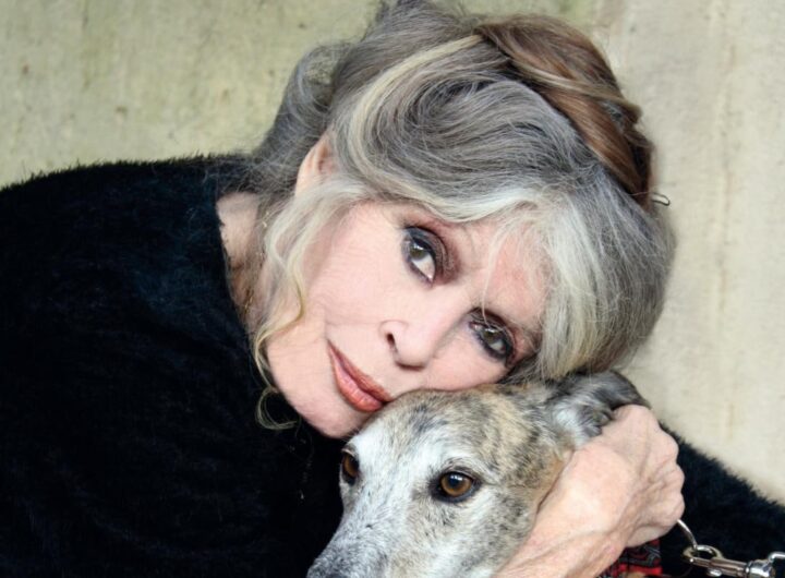 Новини культури - Бріжіт Бардо спростувала чутки про свою смерть