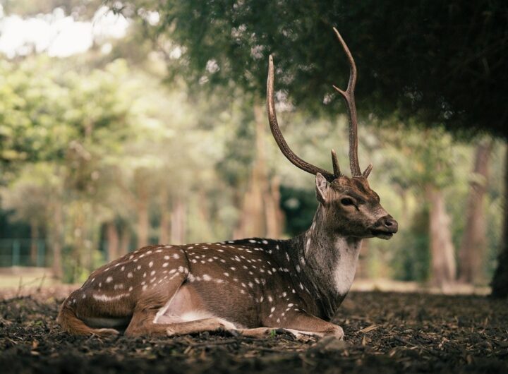 Новини культури - Гороскоп для всіх знаків зодіаку на 28 жовтня 2025 року