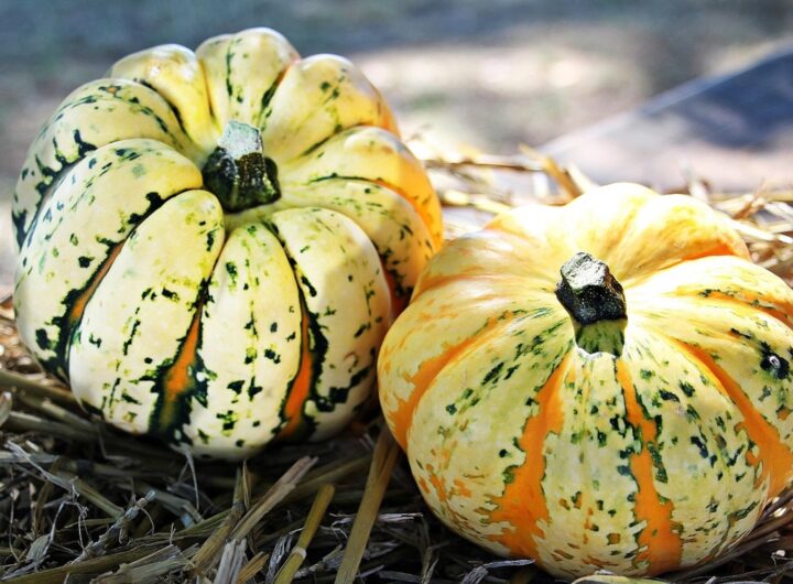 Новини культури - Гороскоп для всіх знаків зодіаку на 29 жовтня 2025 року