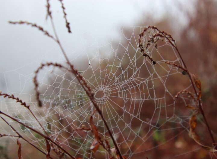 Новини культури - Гороскоп для всіх знаків зодіаку на 30 жовтня 2025 року