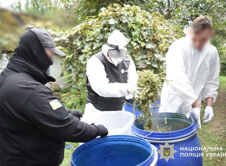 Новини України - На Київщині вилучили наркотиків на 15 млн грн