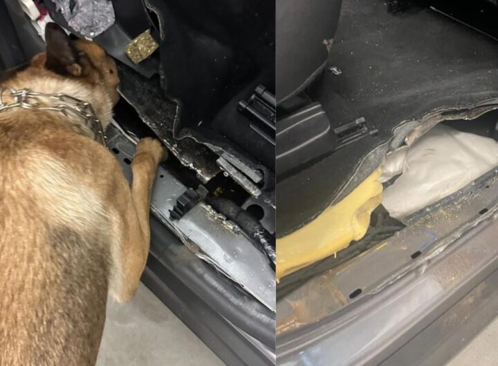 Новини України - На Львівщині в авто виявили 27 кг наркотиків з Польщі