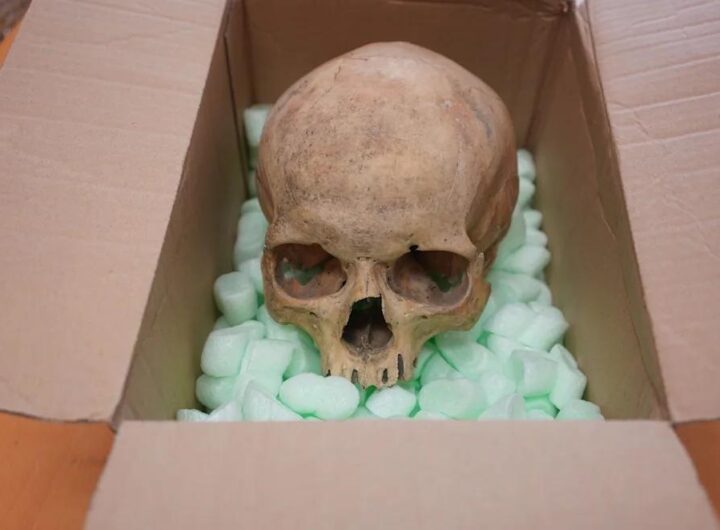 Новини світу - Німець повернув у віденський собор реліквію, викрадену 60 років тому