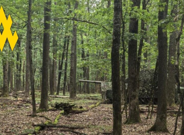 Новини України - Партизани допомогли зірвати наступ РФ під Вовчанськом