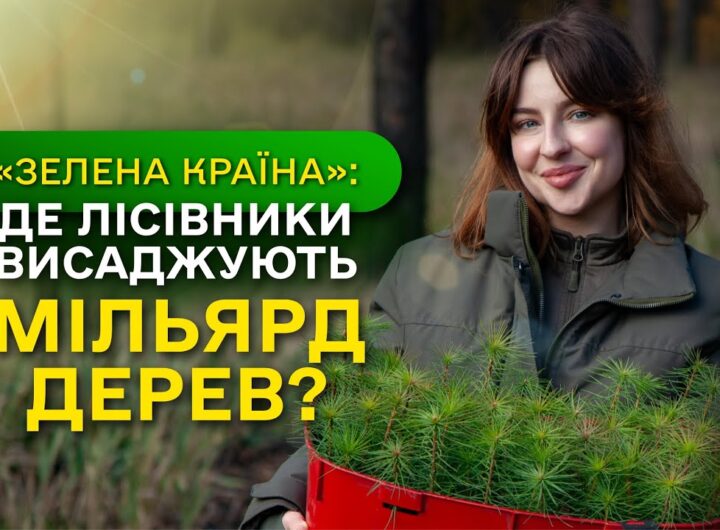 Замість уламків РАКЕТ - молодий ЛІС / ДП "Ліси України" завершує програму Президента ЗЕЛЕНА КРАЇНА