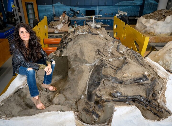Технології - Вчені відкрили новий малий вид тиранозавра