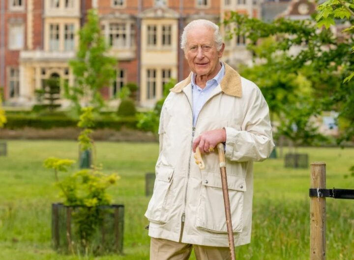 Новини культури - Букінгемський палац оприлюднив новий портрет монарха