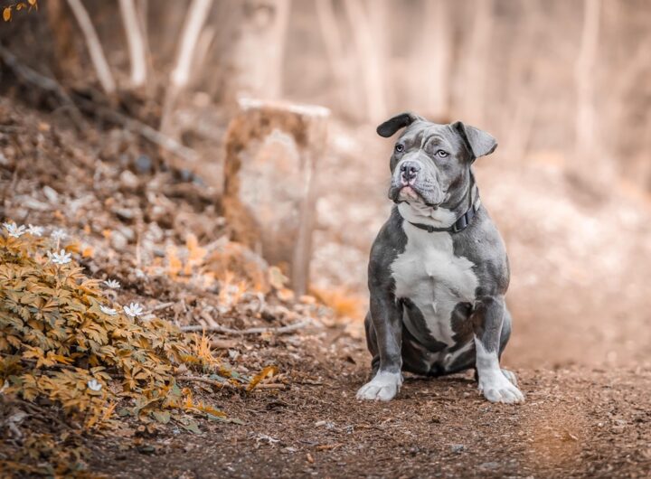 Новини культури - Гороскоп для всіх знаків зодіаку на 20 листопада 2025 року