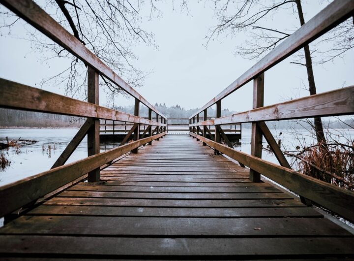 Новини культури - Гороскоп для всіх знаків зодіаку на 21 листопада 2025 року