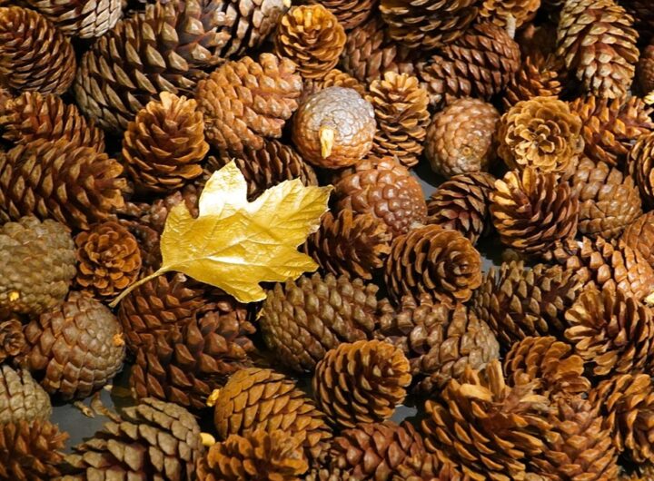 Новини культури - Гороскоп для всіх знаків зодіаку на вихідні 22-23 листопада 2025 року