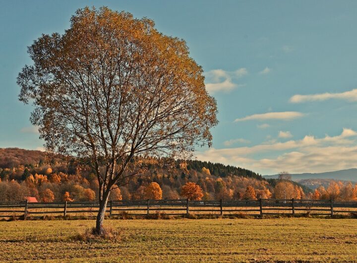 Новини культури - Гороскоп для всіх знаків зодіаку на вихідні 8-9 листопада 2025 року