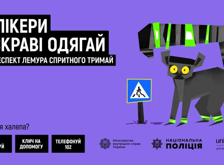 Флікери яскраві одягай — респект лемура спритного тримай!