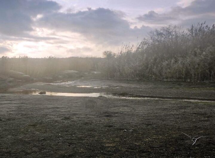 Новини України - На Донеччині обміліла річка Кальміус через дії росіян - ЦВО