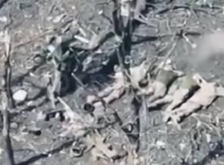 Новини України - Росіяни розстріляли п’ятьох полонених бійців ЗСУ