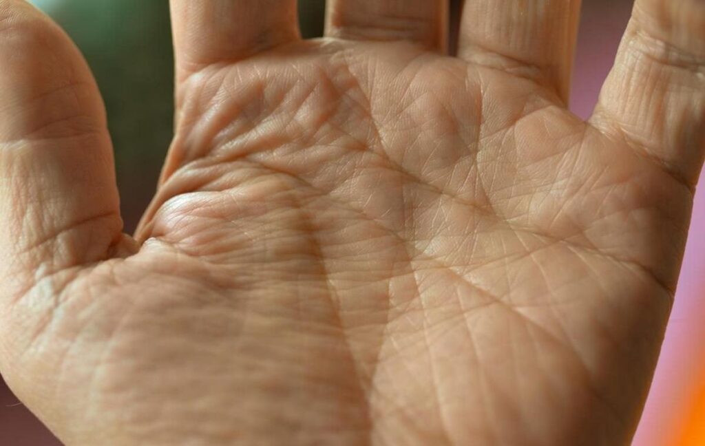 Без категорії - Що приховує ваша долоня: шокуючі факти про лінію життя людини