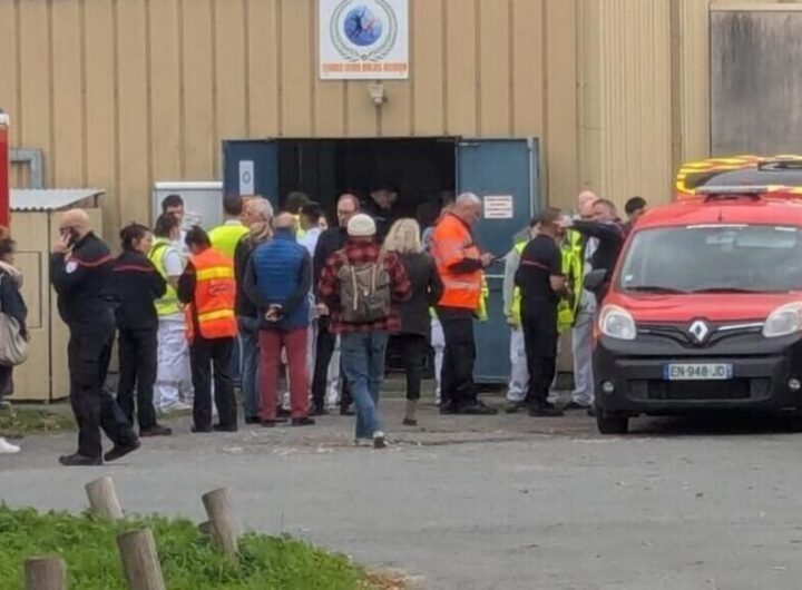 Новини світу - У Франції водій навмисне збив пішоходів і велосипедистів: 10 поранених