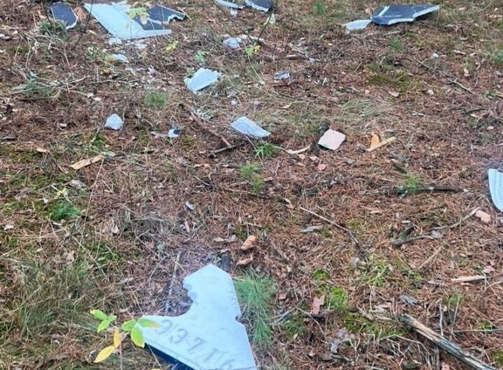 Новини України - У лісі на Чернігівщині здетонував дрон, поранені двоє підлітків