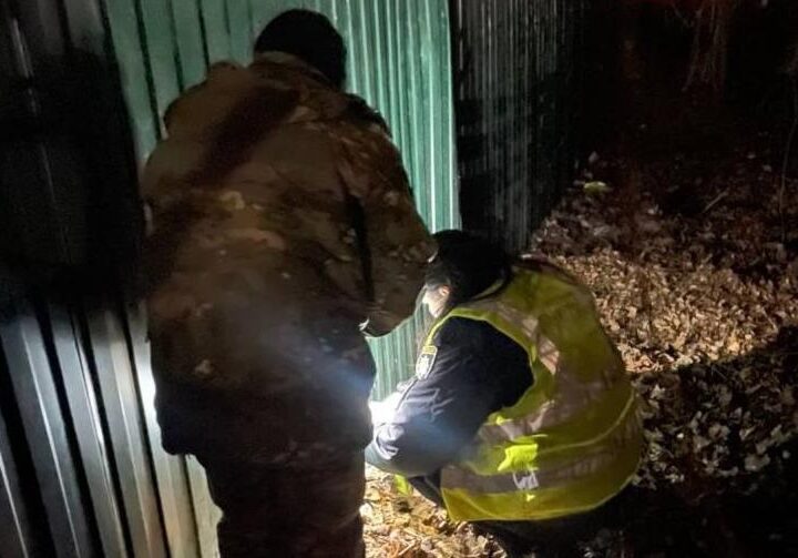 Новини України - У Житомирі 15-річна дівчина залишила новонароджену дитину біля смітника