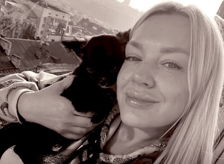 Новини України - Удар по Слав’янську: волонтерка загинула під час годування тварин