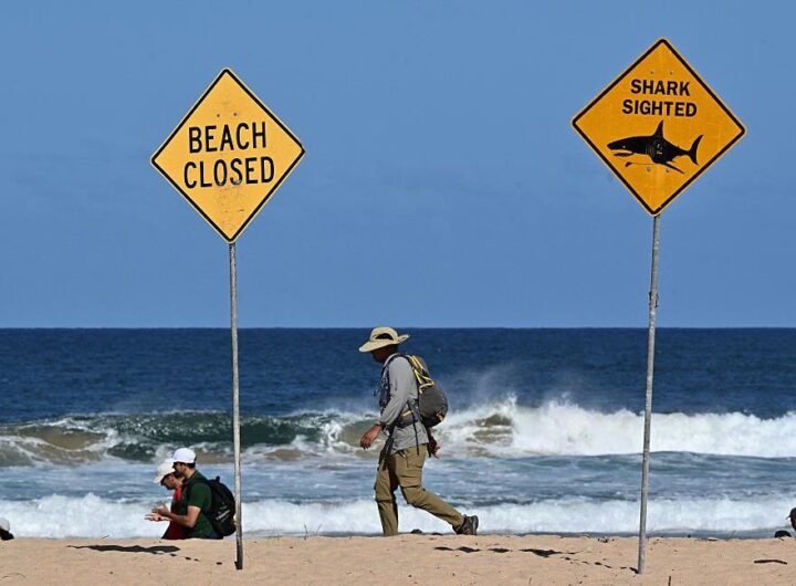 Новини світу - В Австралії акула напала на спортсменів, є жертви