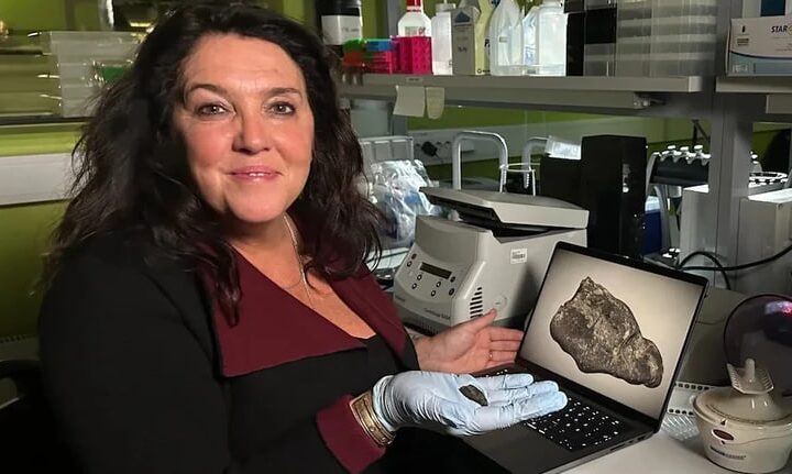 Технології - В Естонії знайшли смолу, яку жувала дівчина кам’яної доби