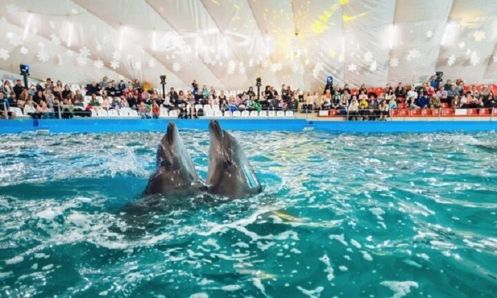 Новини України - В Одесі будівлю дельфінарію Немо арештували за борги