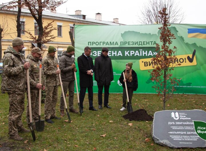 Новини України - В Україні висадили мільярдне "дерево Зеленського"