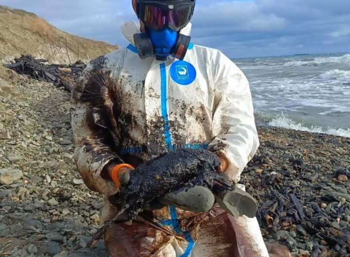 Новини України - Величезні мазутні плями зафіксували в Керченській протоці - соцмережі