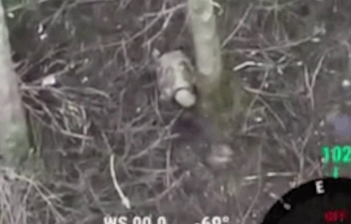 Новини України - Військовий РФ покинув товариша стікати кров’ю на полі бою