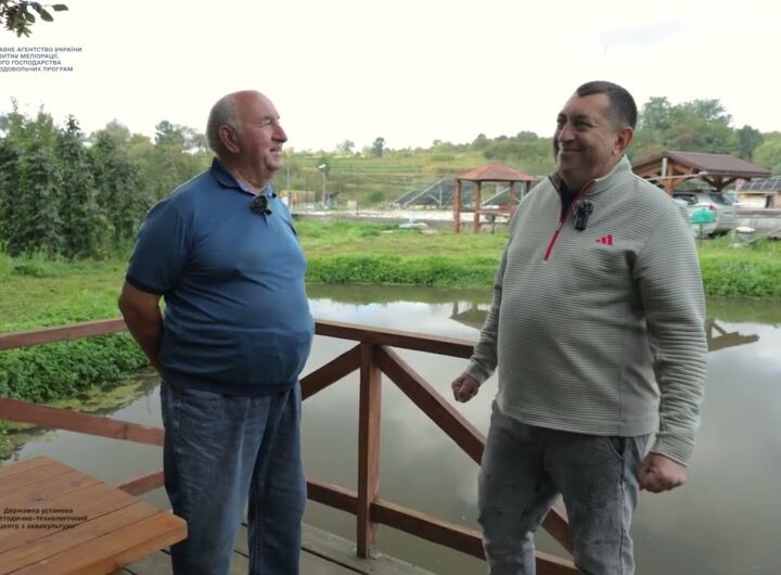 Аквакультура у передгір’ї Карпат: унікальний шлях господарства «Голуба Нива»