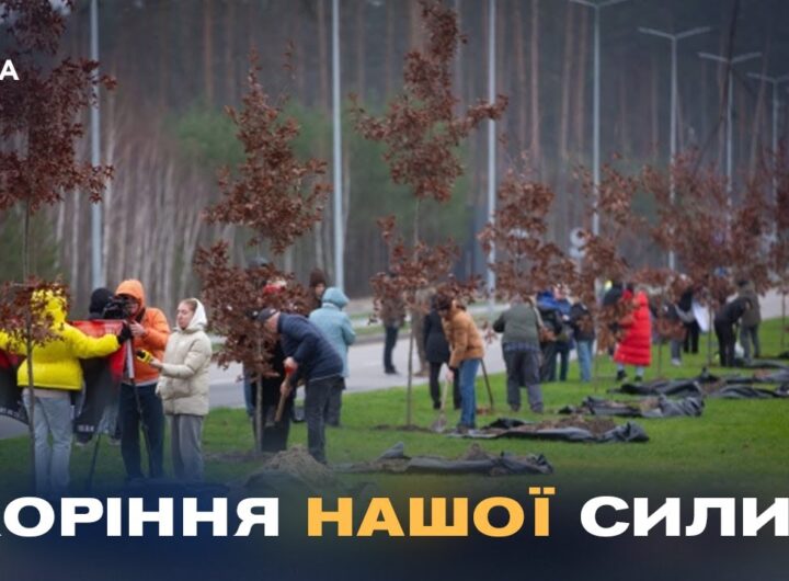 Кожен дуб – історія життя та подвигу полеглого воїна