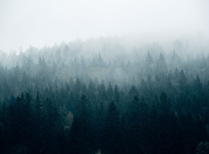 Новини України - Без опадів, але з туманами: погода на початку тижня