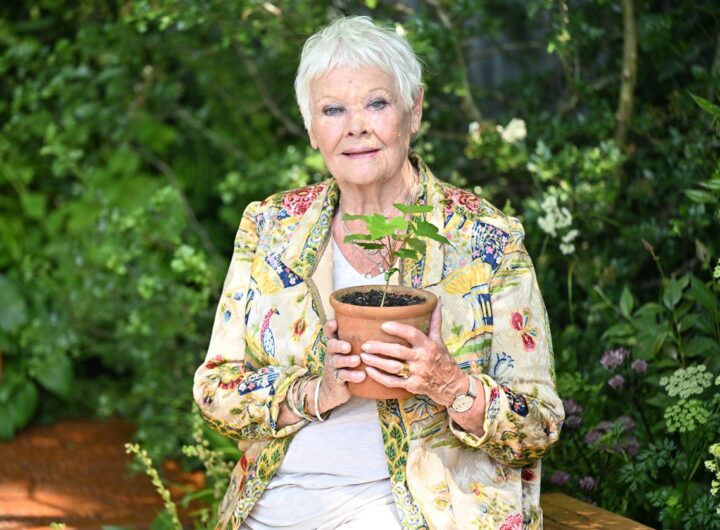 Новини культури - Джуді Денч зізналася, що майже втратила зір через прогресуючу хворобу