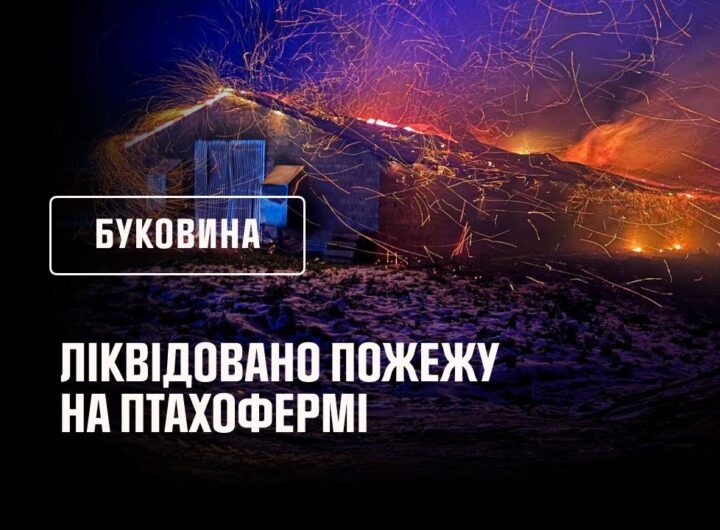 Буковина: ліквідовано пожежу на птахофермі