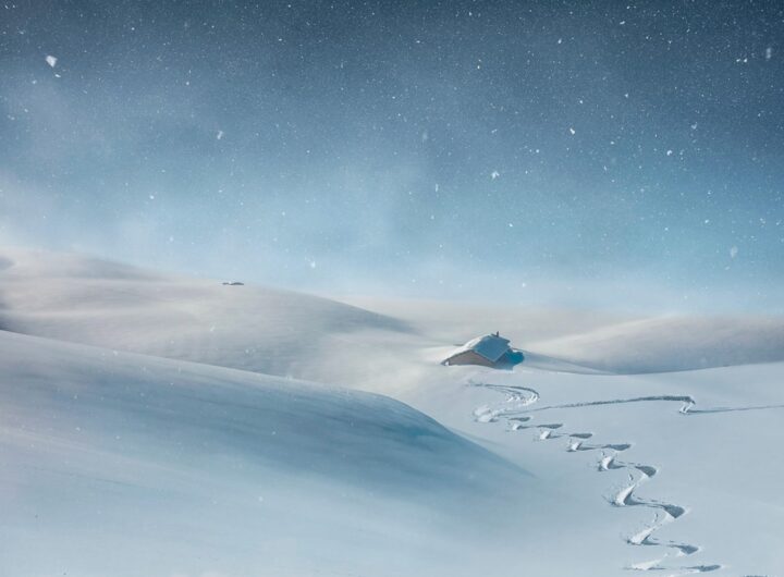 Новини культури - Гороскоп для всіх знаків зодіаку на 16 грудня 2025 року