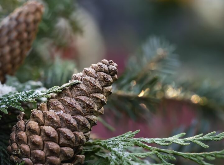 Новини культури - Гороскоп для всіх знаків зодіаку на 19 грудня 2025 року