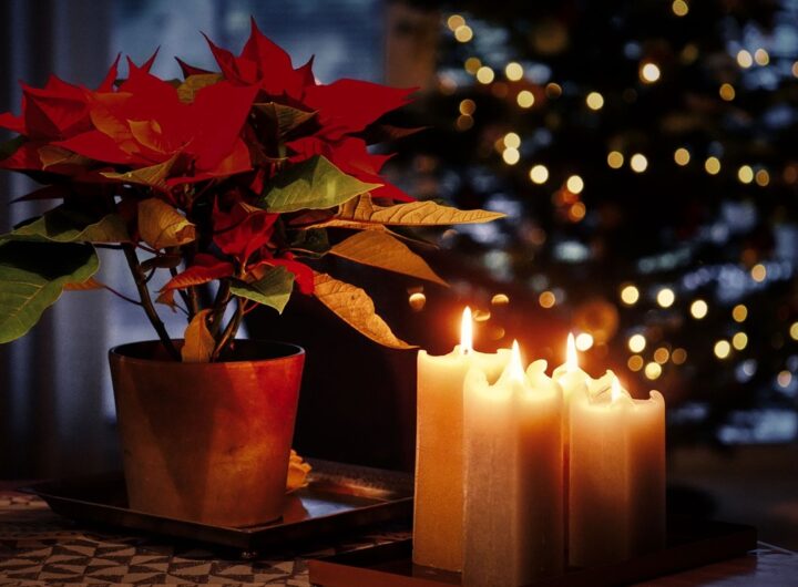 Новини культури - Гороскоп для всіх знаків зодіаку на 3 грудня 2025 року