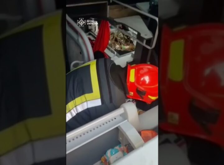 Франківщина. Автобус із 30 пасажирами злетів у кювет: один загиблий, п’ятеро поранених