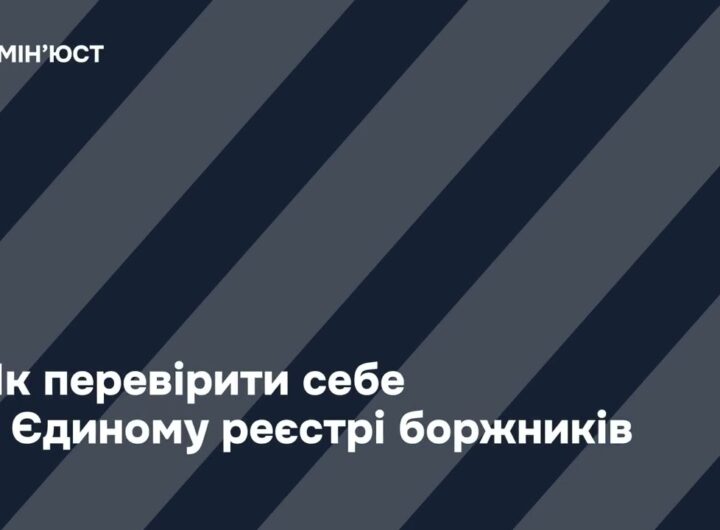 Як здійснити перевірку в Єдиному реєстрі боржників