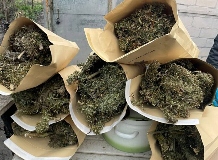 Новини України - На Харківщині у наркозбувачів вилучили понад 10 кг канабісу