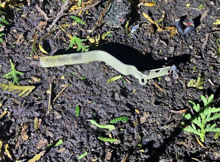 Новини України - На Львівщині в ресторані вибухнула граната