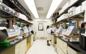 Технології - Ожиріння суттєво пришвидшує розвиток хвороби Альцгеймера - дослідження