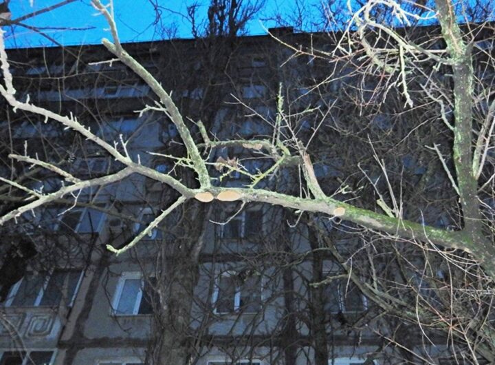 Новини України - Поліціянти розслідують загибель дівчини у заблокованій квартирі Миколаєва